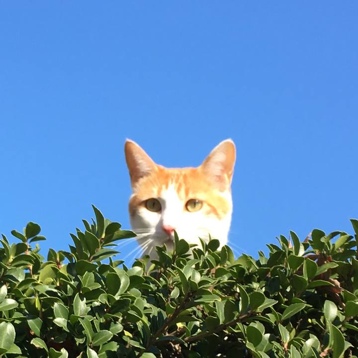 6449e0b7 8d33 4e52 b917 54a0cd2336db