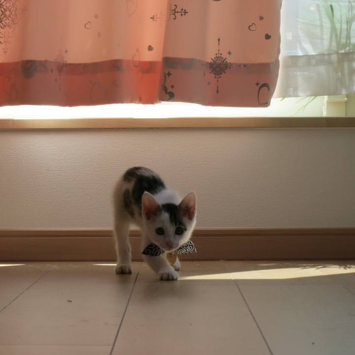 644a02b7 b80e 4e20 8c55 b71f3e011afb