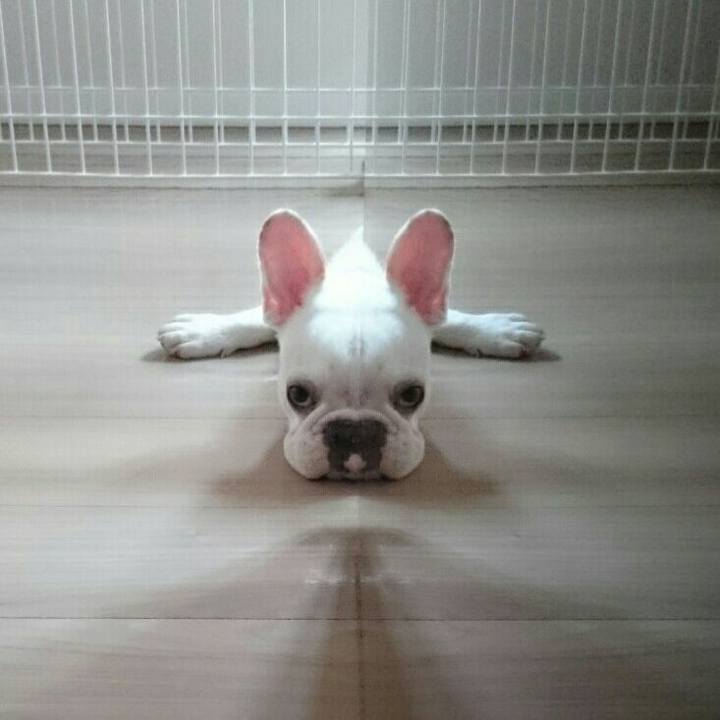 644a3dcb 826e 4f7d b7d9 3e52803f3e8a