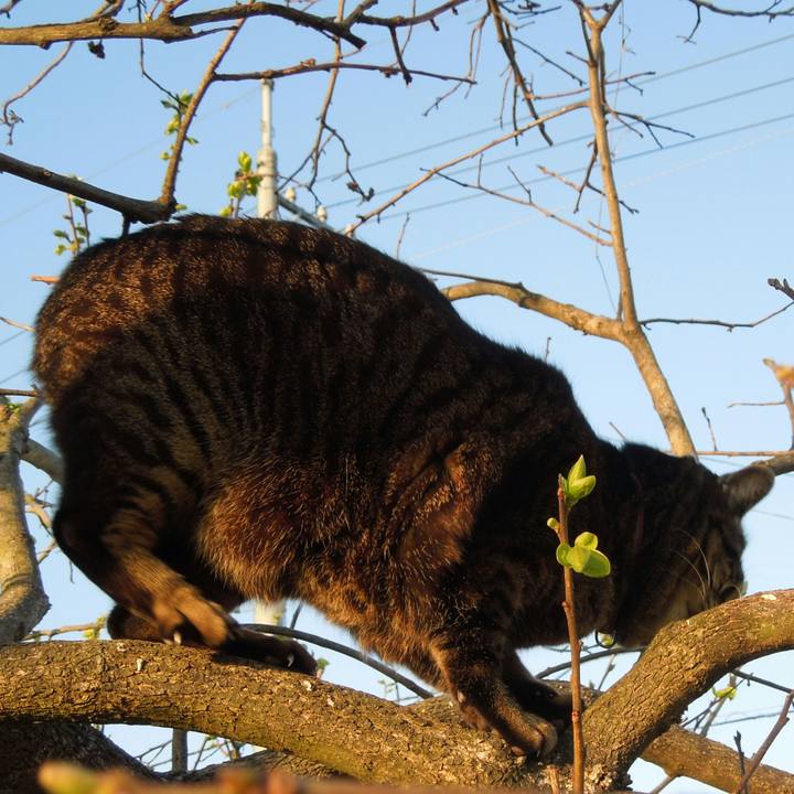 644a9059 a577 4192 8bcd e09c75c92241