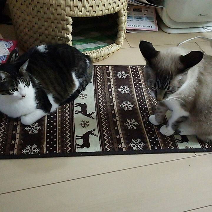 644b4a2d f366 414c 900b 9efc0beb1223