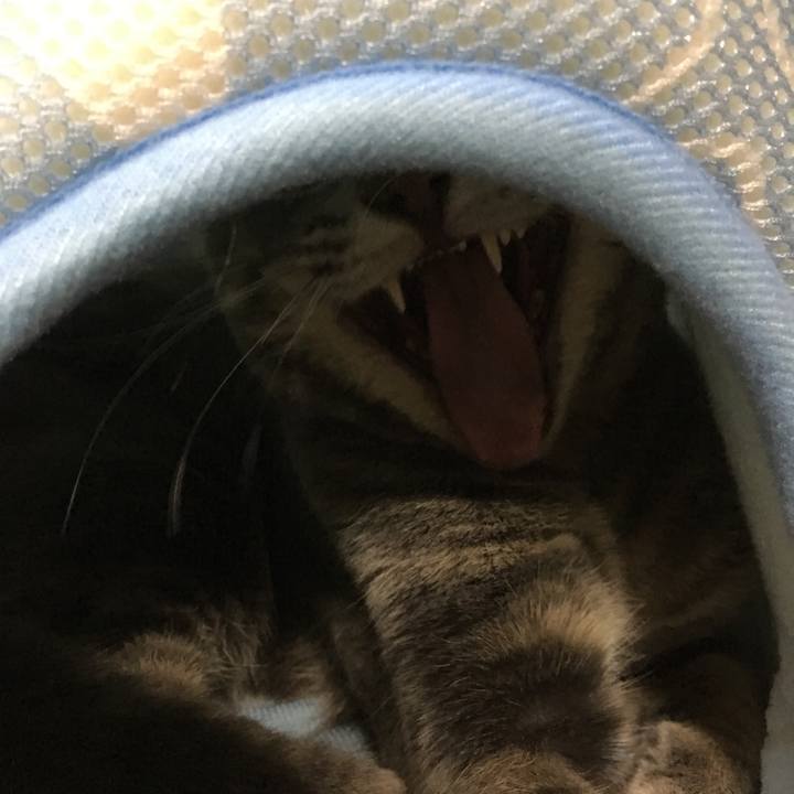 644b86cc 415c 4070 bcb0 f45ddb3fc627