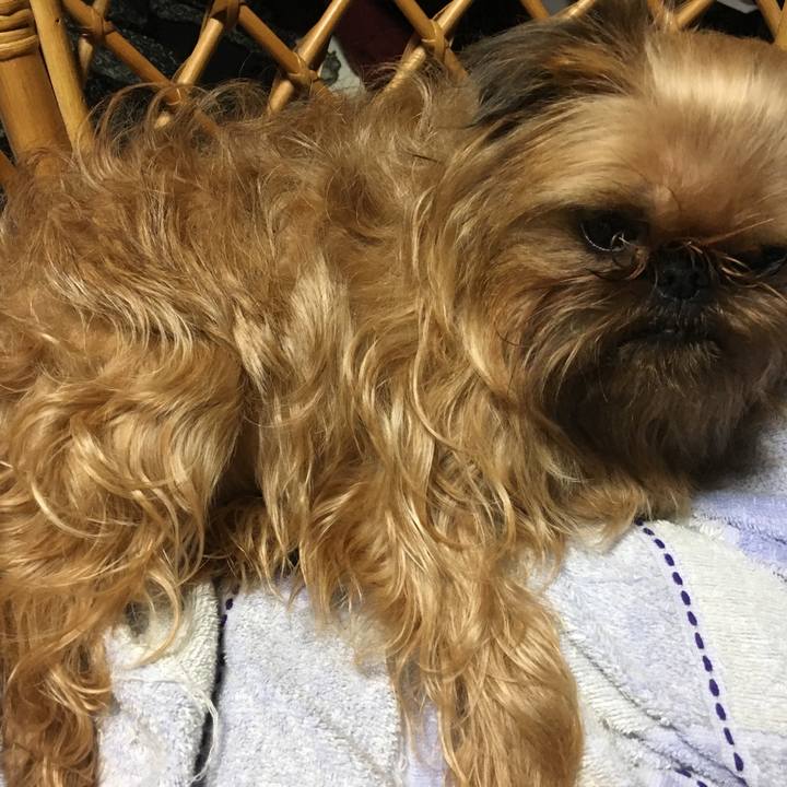 644bb151 ec09 438f 966b bf883fbad4eb