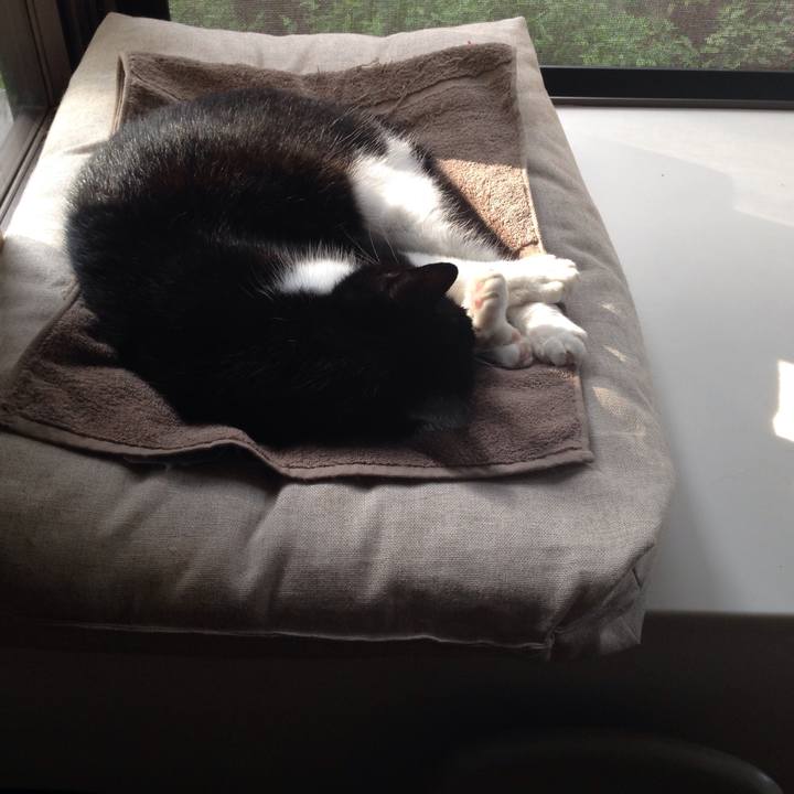 644c5ef6 6daa 4dcc 98f4 09dccdac6a23