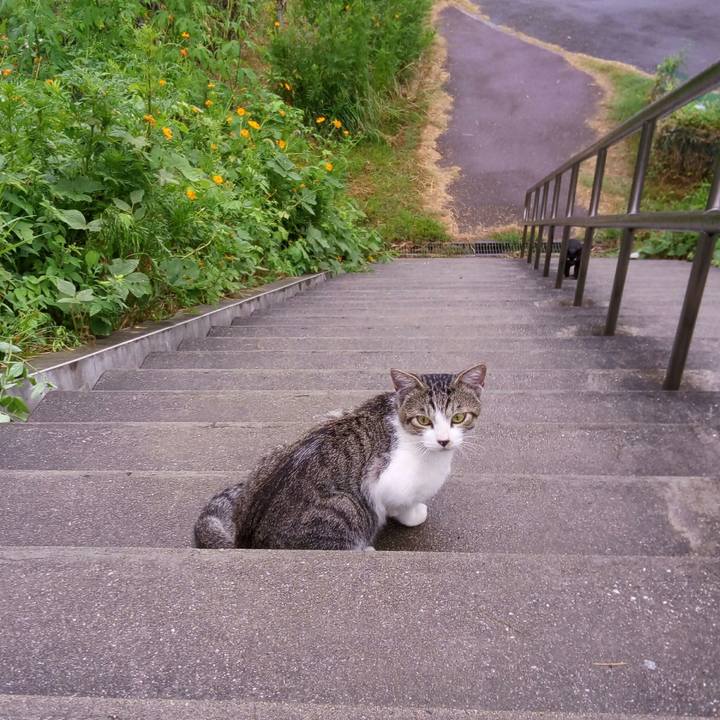 644c71dd 8e90 4595 8149 95840c56c7d2