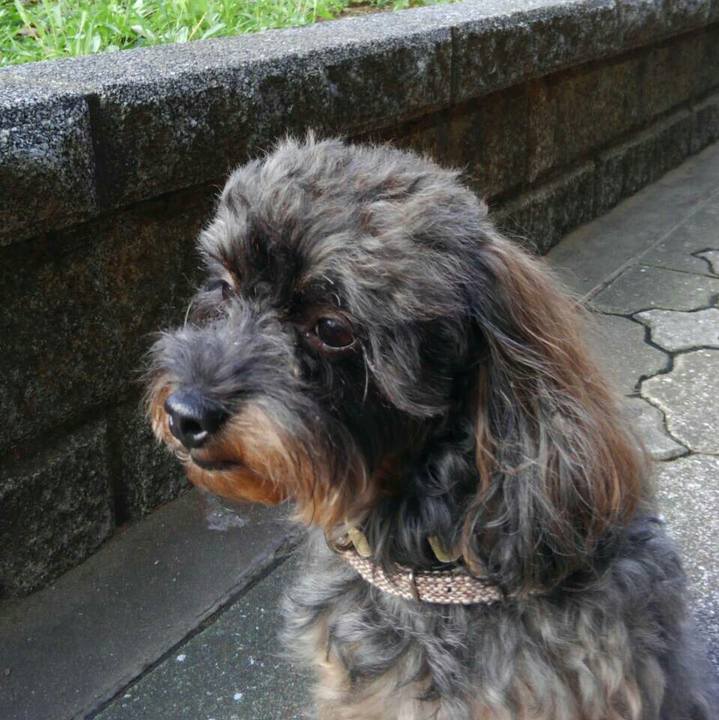 644c841f 9a24 4929 8b81 4637ef90d5c2