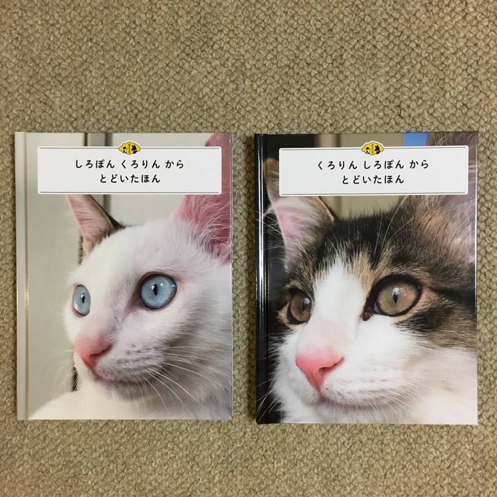 644cbb16 d36c 49ea 9315 26b530cbaf09