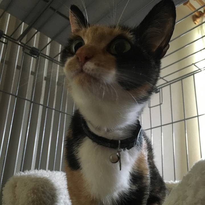 644dac37 ddb4 411c a437 b46879334b8d