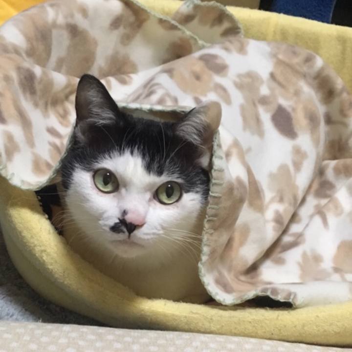 644dbb19 6ed6 4e72 b63c 27bbf37f2884