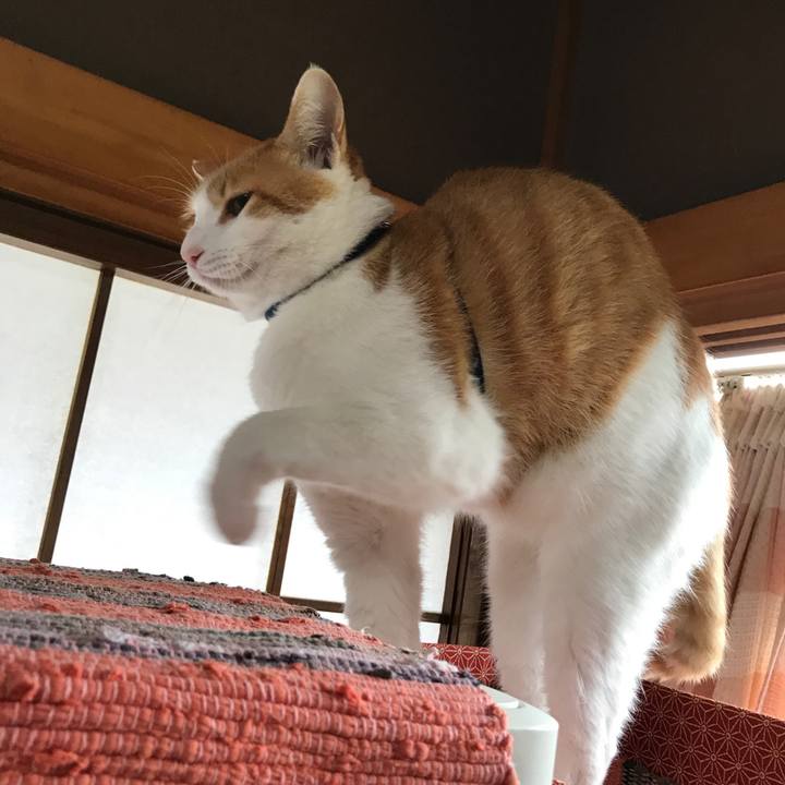 644f4969 7c5b 4ee4 b2c3 4d8e15e3b6f9