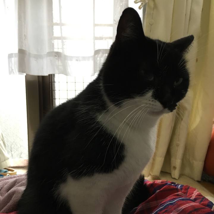 644f67f9 db30 4956 85f6 9e1c771e0586