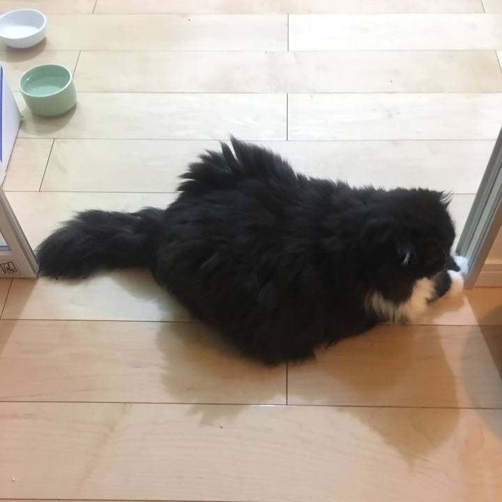 644f837c bc90 44a5 a2f9 fe3a7be14b8c