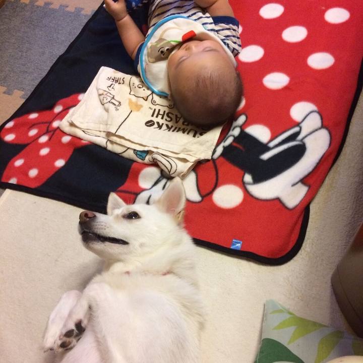 645004b0 810f 4e49 a13e 70c94949d2db