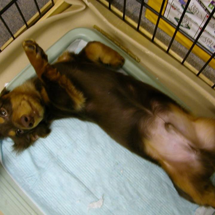 64502aa6 ed38 475d 8dcf 3e8a60567536