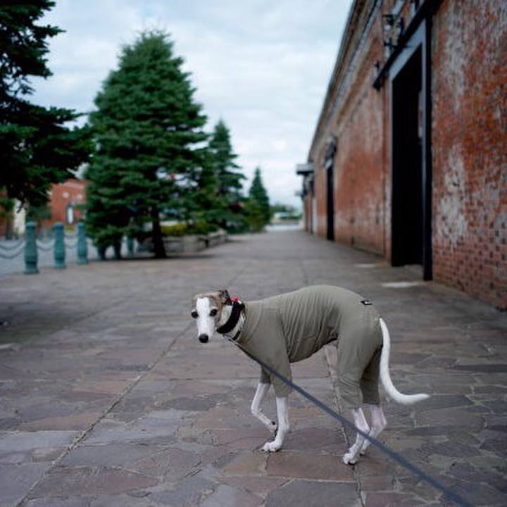 64508011 2ced 48b7 b998 1b97cd4c9ca1