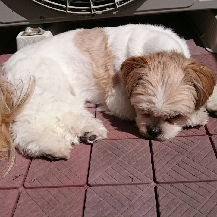 6450c981 efd9 40bb abc8 309e2a244c7f