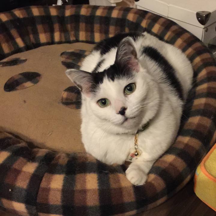 645150bd 0919 4419 81fd 74049b0e8faf