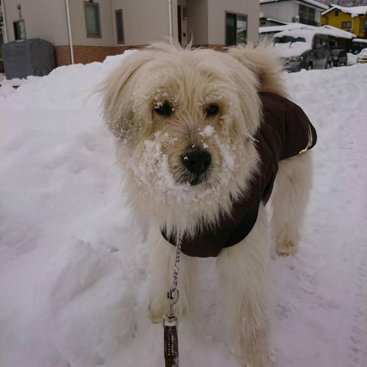 6451c912 0d16 4715 9f76 0630aa1d5e1c