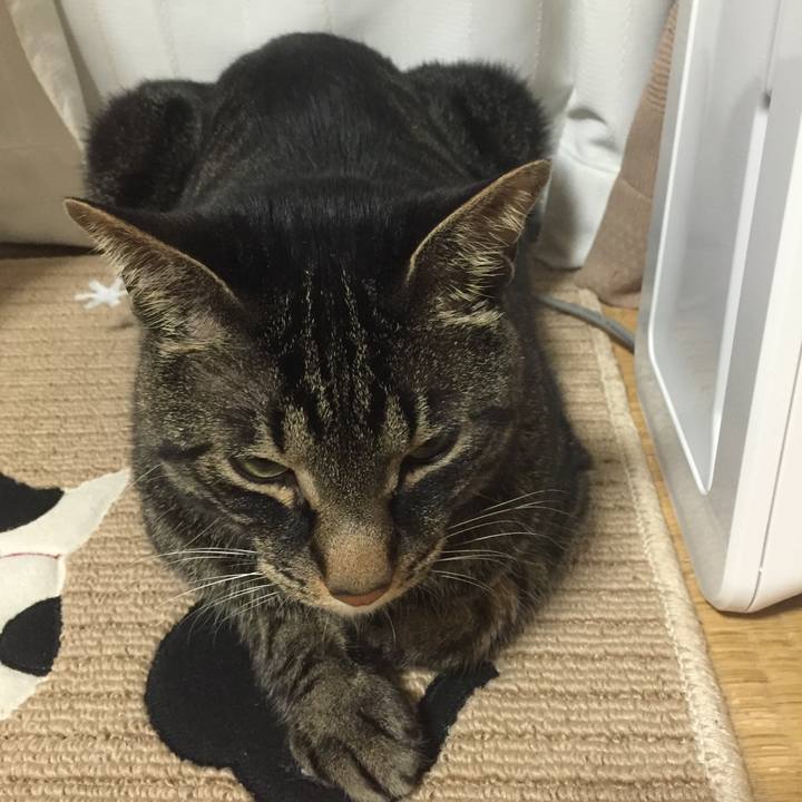 64523a6d 2a21 4236 b8ba 7f2461197308