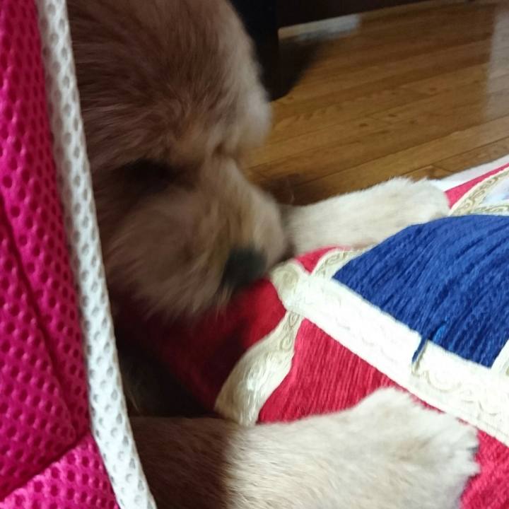 64525549 3c92 4a75 a1e8 c0a46b1244c6