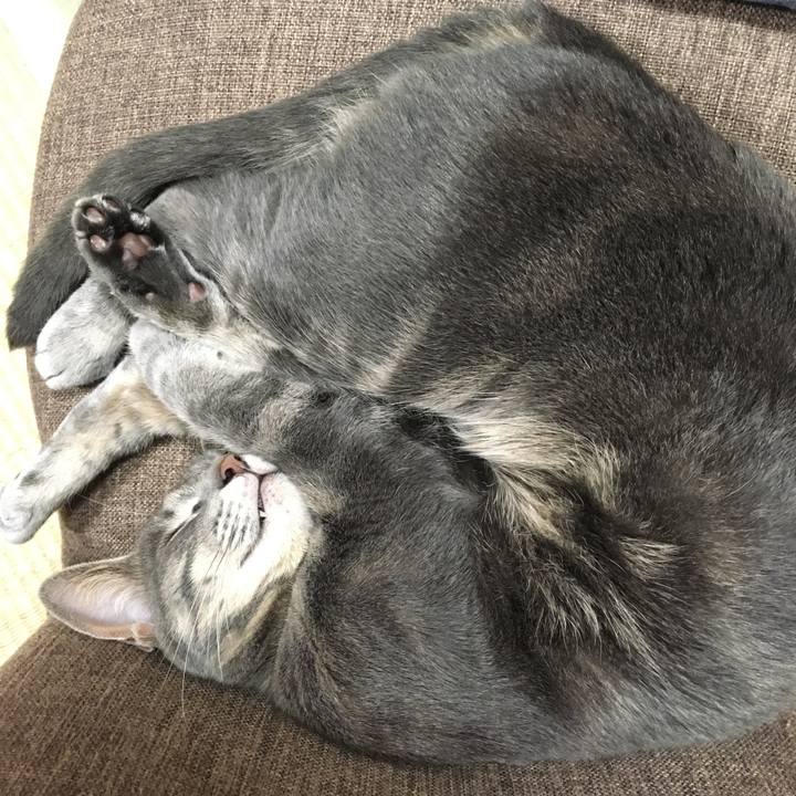 64525772 311e 4ee2 b878 288861fe141b