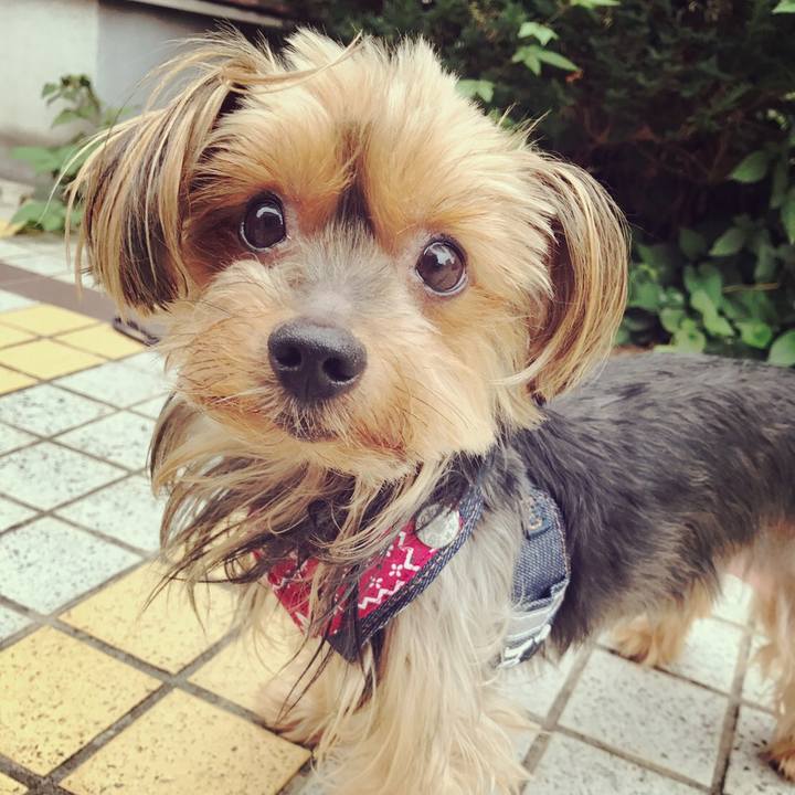 6452c549 bdd0 4c4c 8561 3b5b306e8589