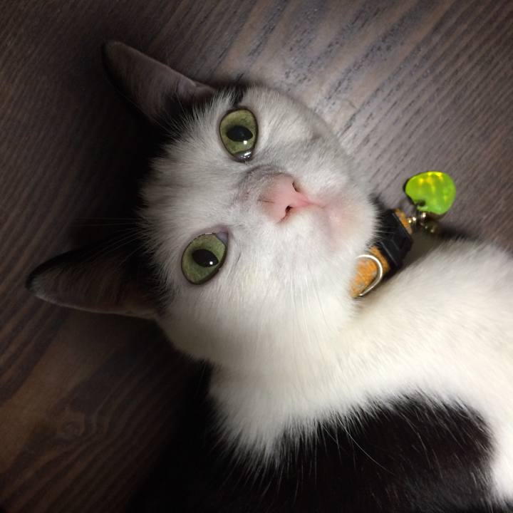 6452f1a1 dc9a 433d a3ea 8623bbe78be0