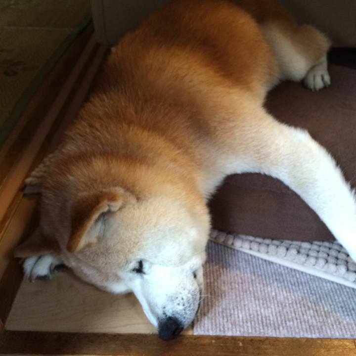 64537e14 cd7d 4f3b 95d1 0bd71a1a3907