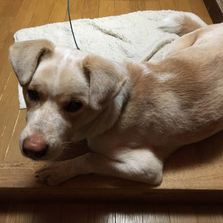 6453ad7d 2534 4ea7 bf4e d24e3585e994