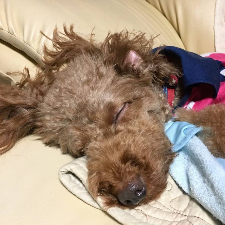 6453c676 eddb 4415 8e49 961f561e354b