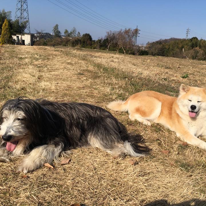 6453e52e 352f 4226 92a0 d0a8683fb6a1