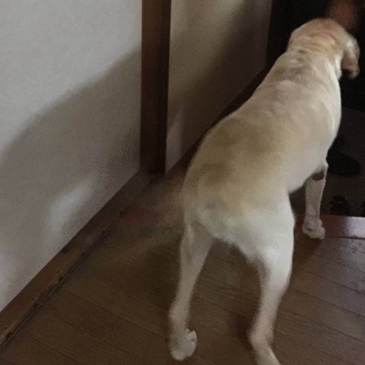 6453e6ba aff6 4b63 8ff9 985916deac5a