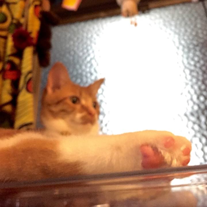 6453eab4 b416 493e 960d d610e09d9231