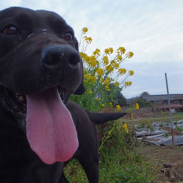 645418e8 c601 443b b9fb ff563c1413c4