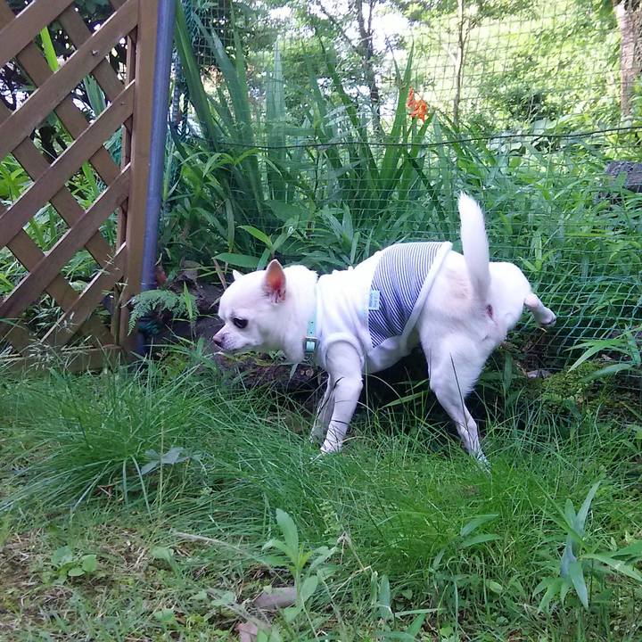 645446c6 a9dd 43c4 99ee 0ec272d05e10