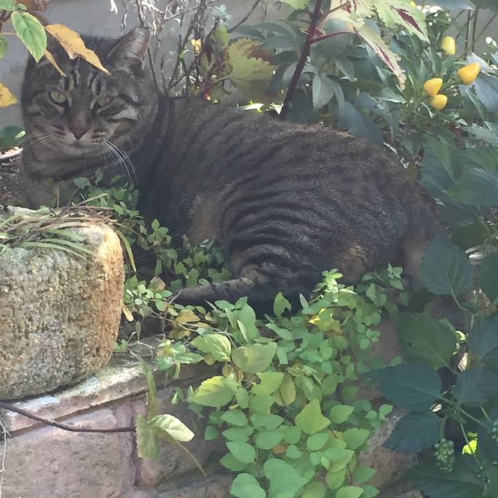 6454789f 77f4 48ac aa5f e1615107a335