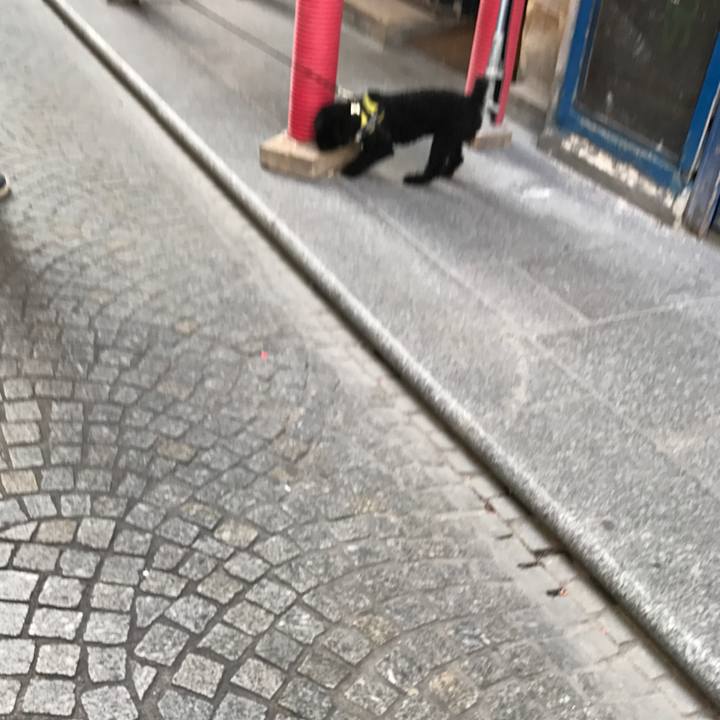 6454d6d0 af02 4df1 923c 7d62a3ff55c3