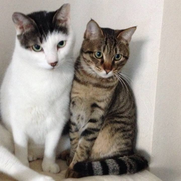 64566f4c e164 4109 b15a 85392e022ae8