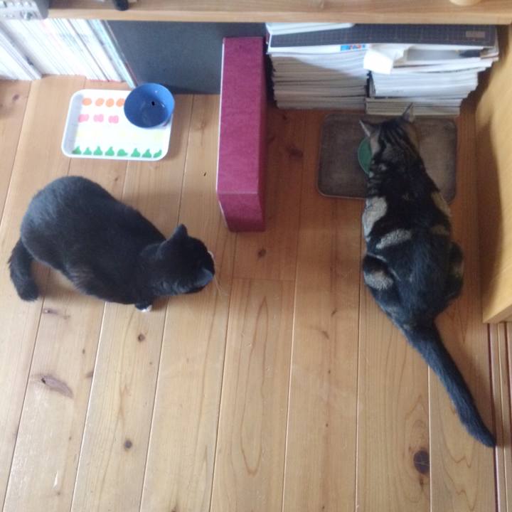 6456a3c3 e5e1 49ea be00 764c4d276d47