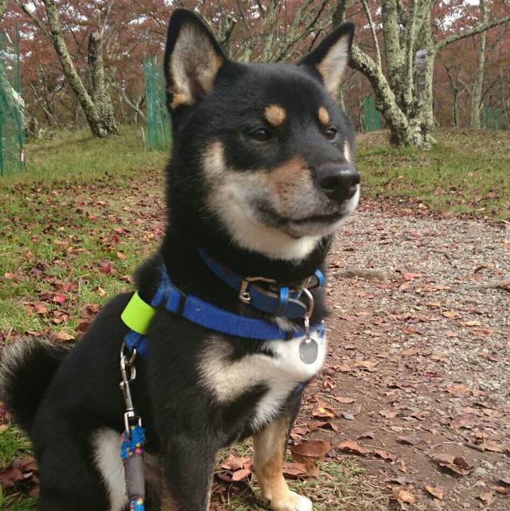 64574c8b 76dc 4a77 aba3 8e753a8754db