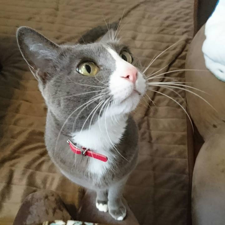 645771b4 3093 4032 b8f9 7b59dc1b5b73