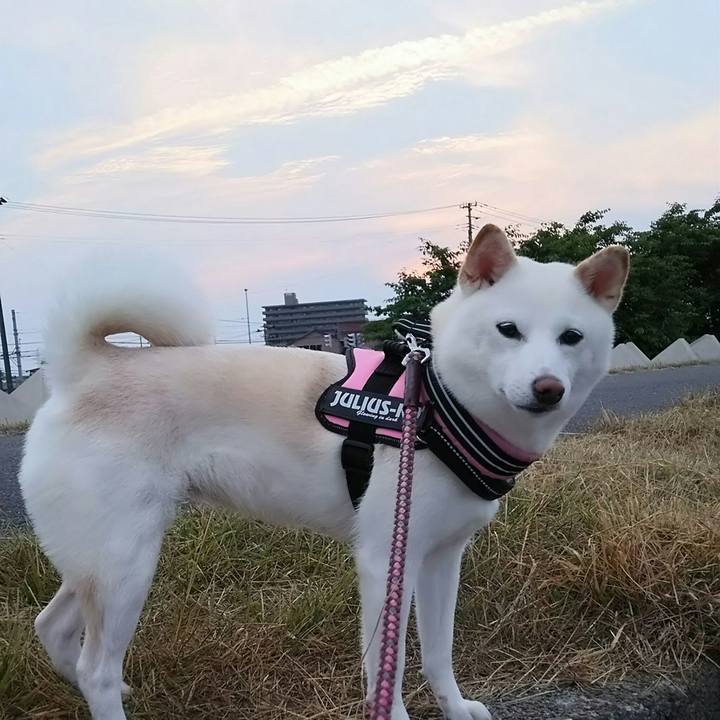 64577e83 3a92 475e aa50 d73e13bc756c