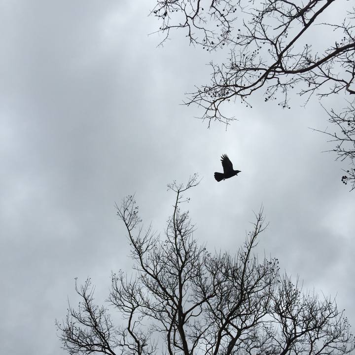 645886cc bc4e 47f8 a11b fa7a89f70419