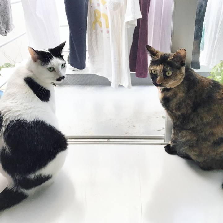 645918eb 206f 4d64 84bc de89f74ca50a