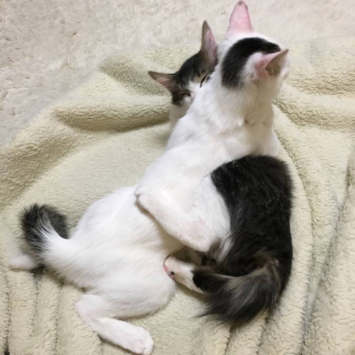 645972a3 144a 444e 9efa 1b77e9ad6501