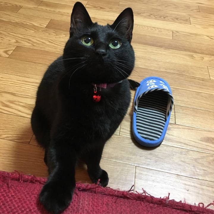 6459ecc5 c62a 4e2d 8af5 81cf405b4279