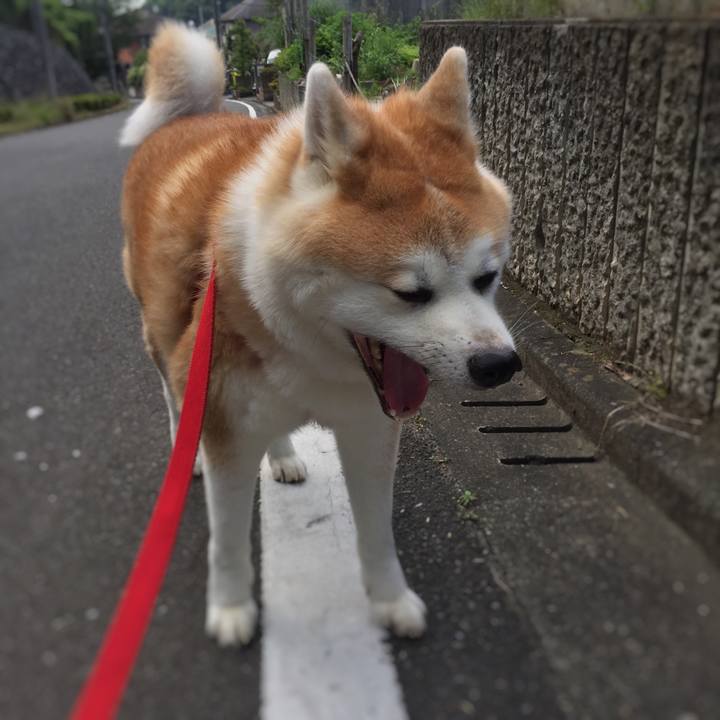 645ad429 3a05 4caf a5e4 d3f033131601