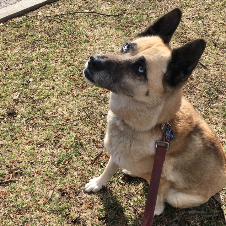 645bc6dd da39 4e28 81fb 661707ab1401