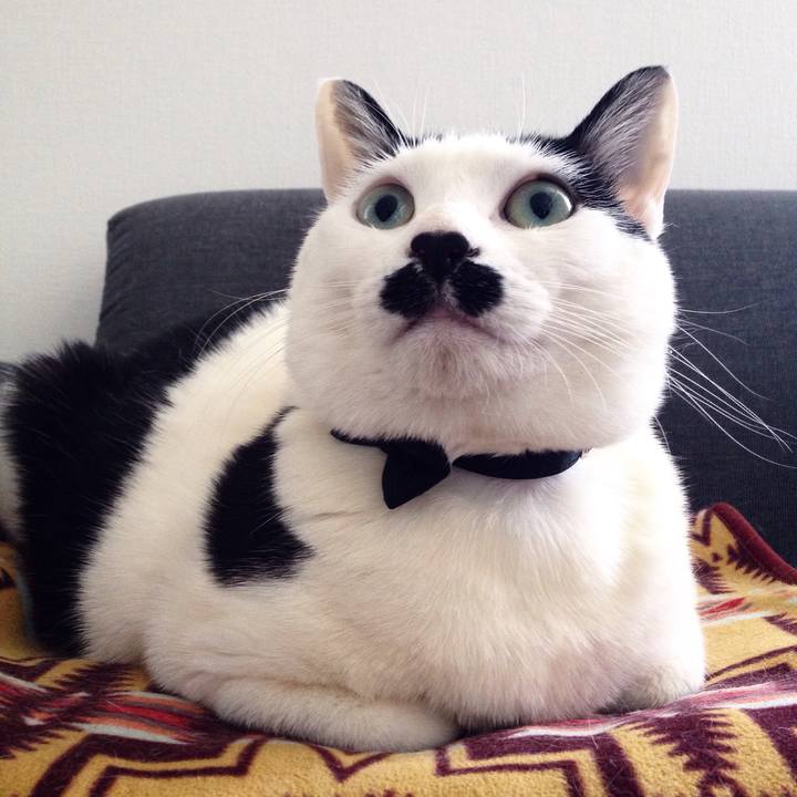 645bee8e ffb6 4ce6 a906 5ab5d950c2c1