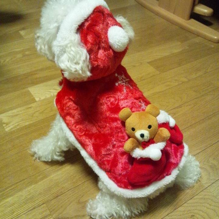 645c8f85 82ce 49b0 b9a9 7647bbb83f00